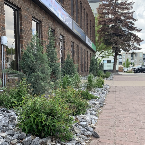 Picture of landscaped building exterior.