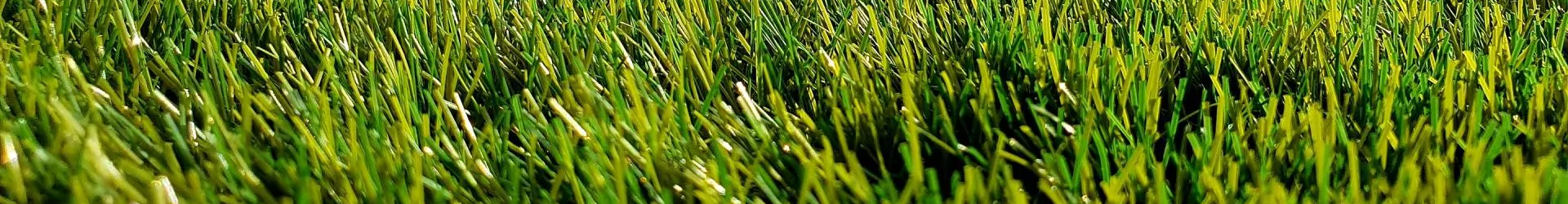 Exterior Lighting Header