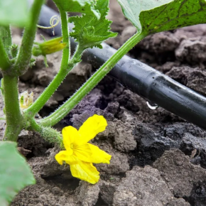 Irrigation & Drainage Photo