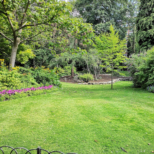 Picture of landscaped yard.