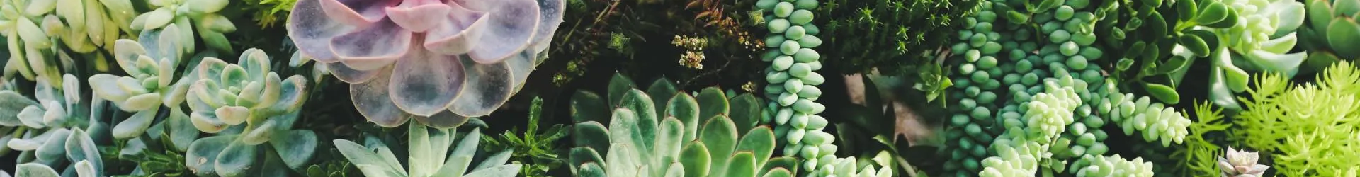 Newhart Landscaping Services